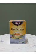 YOGI BREATHE DEEP 16TB