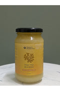 NFS GINGER NINJA SEA MOSS GEL 375ML