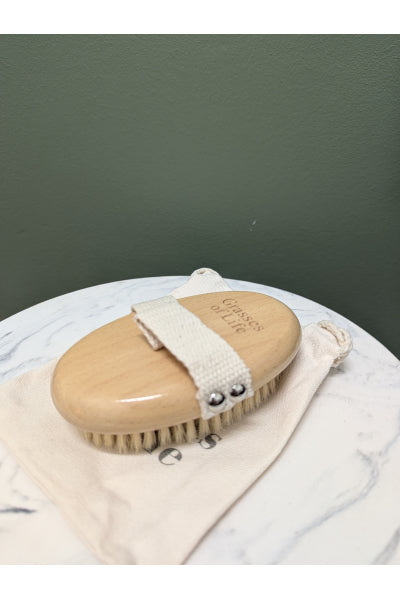 GRASSES OF LIFE DRY BODY BRUSH BOAR BRIS