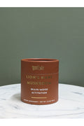 TEELIXER LIONS MANE MUSHROOM GF 50GM