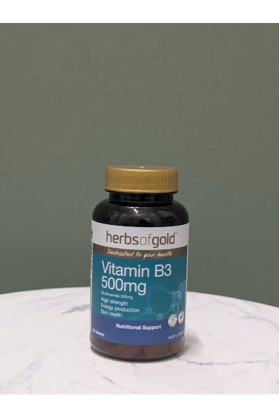 H/G VITAMIN B3 500MG