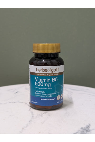 H/G VITAMIN B5 500MG 60C