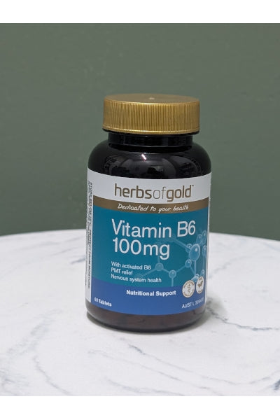 H/G VITAMIN B6 100MG 60T