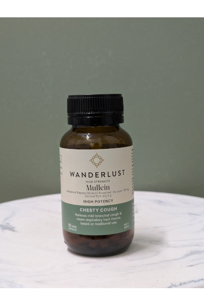 WANDERLUST MULLEIN 60C