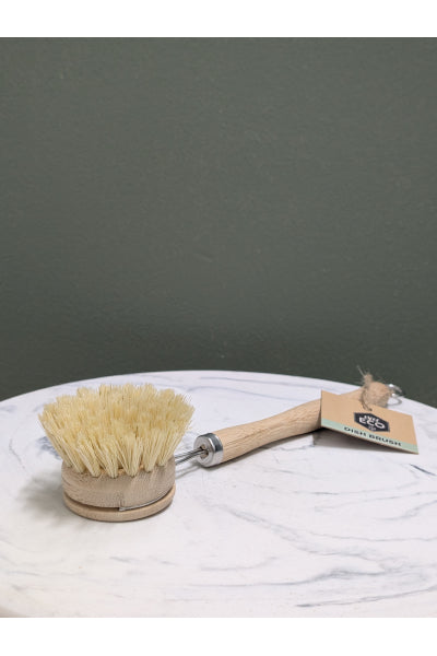 EVER ECO DISH BRUSH WITH HANDLE
